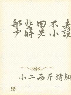 那些回不去的年少时光小说无弹窗