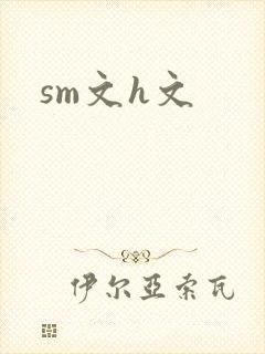 sm文h文