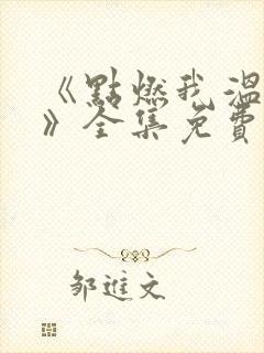 《点燃我温暖你》全集免费电视剧