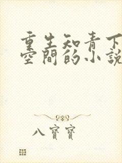 重生知青下乡有空间的小说