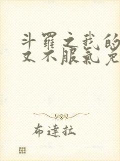 斗罗之我的系统又不服气免费阅读
