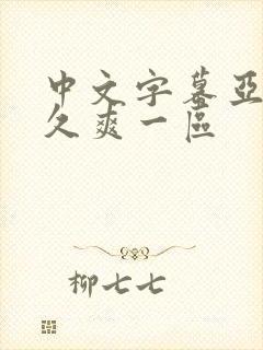 中文字幕亚洲久久爽一区