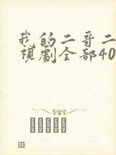 我的二哥二嫂电视剧全部40集