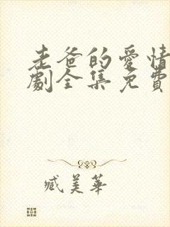老爸的爱情电视剧全集免费观看