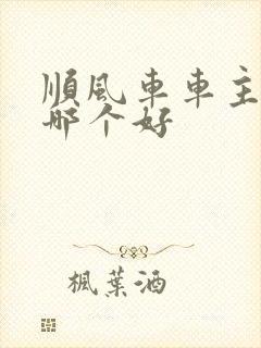 顺风车车主平台哪个好