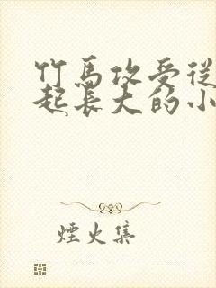 竹马攻受从小一起长大的小说