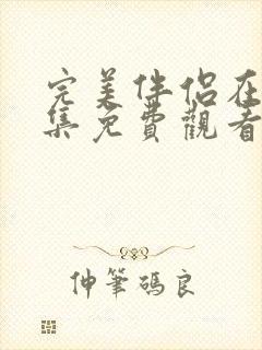 完美伴侣在线全集免费观看