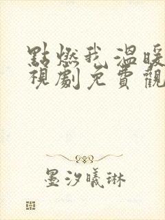 点燃我温暖你电视剧免费观看40集