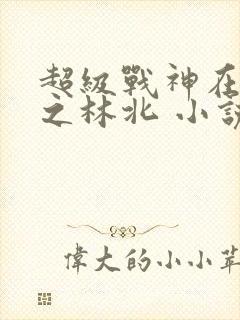 超级战神在都市之林北 小说