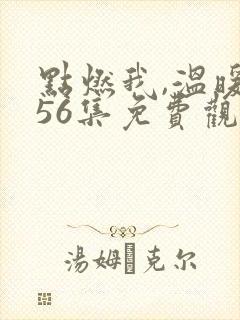 点燃我,温暖你56集免费观看