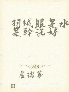 羽绒服是水洗还是干洗好
