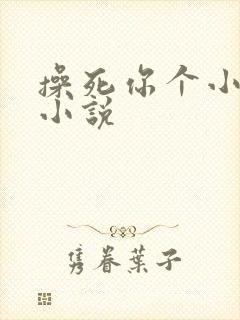 操死你个小骚货小说