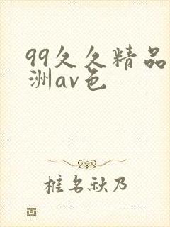 99久久精品亚洲av色