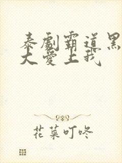 泰剧霸道黑帮老大爱上我