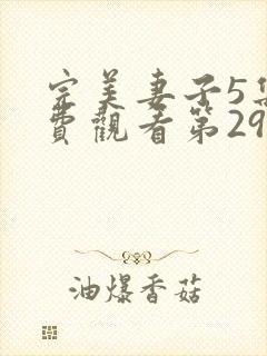 完美妻子5集免费观看第29集封面