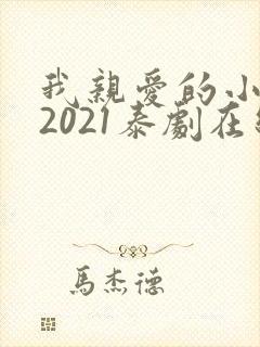 我亲爱的小冤家2021泰剧在线观看