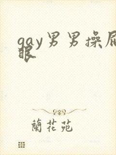 gay男男操屁眼