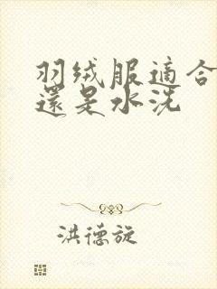 羽绒服适合干洗还是水洗