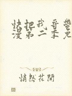 快把我哥带走动漫第二季免费观看封面