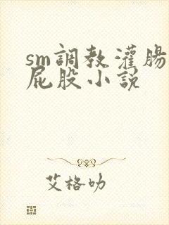 sm调教灌肠打屁股小说封面