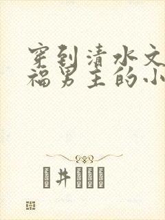 穿到清水文里造福男主的小说