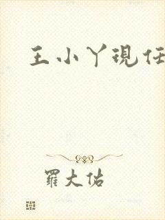 王小丫现任丈夫
