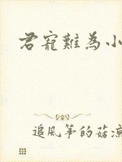 君宠难为小说