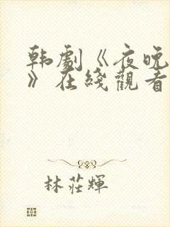 韩剧《夜晚晴空》在线观看免费封面