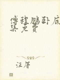 傅程鹏卧底40集免费