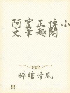 阿宾正传小说全文笔趣阁
