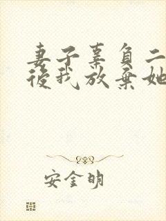 妻子辜负二十年后我放弃她小说最新