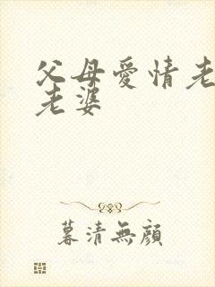 父母爱情老丁的老婆封面