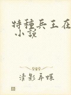 特种兵王在山村 小说