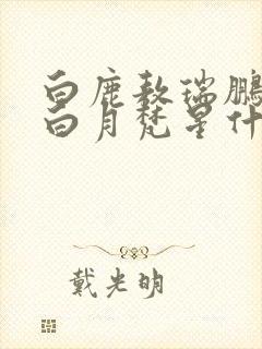 白鹿敖瑞鹏新剧白月梵星什么时候播