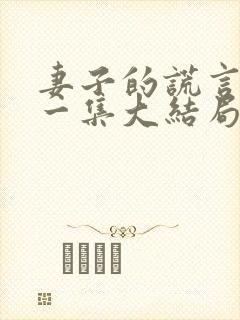 妻子的谎言最后一集大结局