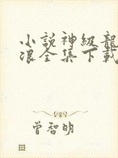 小说神级龙卫沈浪全集下载