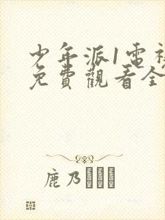 少年派1电视剧免费观看全集完整版