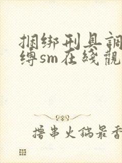 捆绑刑具调教束缚sm在线观看封面