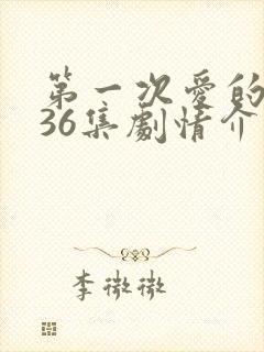 第一次爱的人第36集剧情介绍