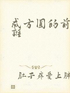 成方圆的前夫是谁