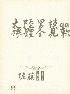 大陆男模gay裸体全见软件