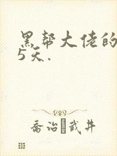 黑帮大佬的365天.封面