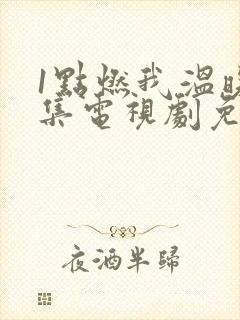 1点燃我温暖你集电视剧免费观看