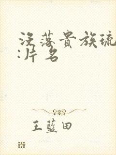 没落贵族琉璃川:片名