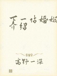 下一站婚姻剧情介绍