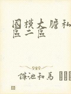 国模大胆私拍一区二区