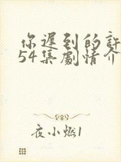 你迟到的许多年54集剧情介绍