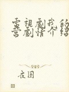 电视剧我的特一营剧情介绍封面