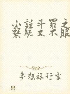 小说斗罗之我的系统又不服气了免费