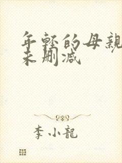 年轻的母亲4 未删减